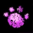 Paw